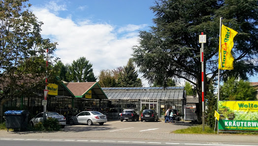 Welter Blumen und Pflanzen Langen, Gartencenter