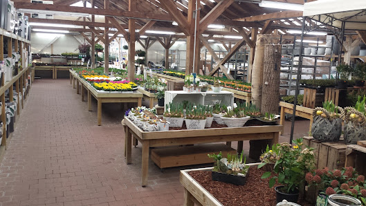 Gartencenter Meckelburg
