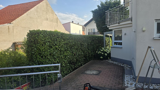 Gärtner Biber