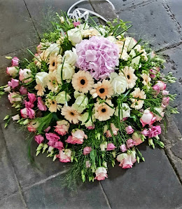 Blumen Holländer