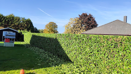 B&N Garten und Landschaftspflege