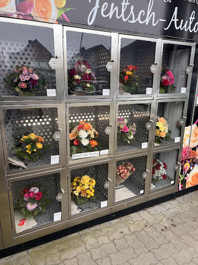 Blumen Jentsch