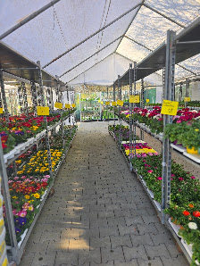 Blumen Habel vom Sonnenhof