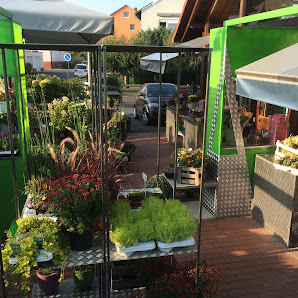 Die Blumen-Lounge Göllner