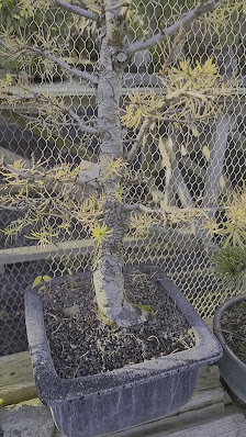 Ihr Gartenbau M. Härtl GmbH & Co. KG