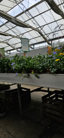 Garten-Center Grünwald Zoo & Co.