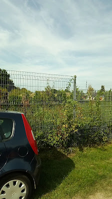 Graf Gartenwelt