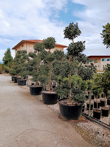 Graf Gartenwelt
