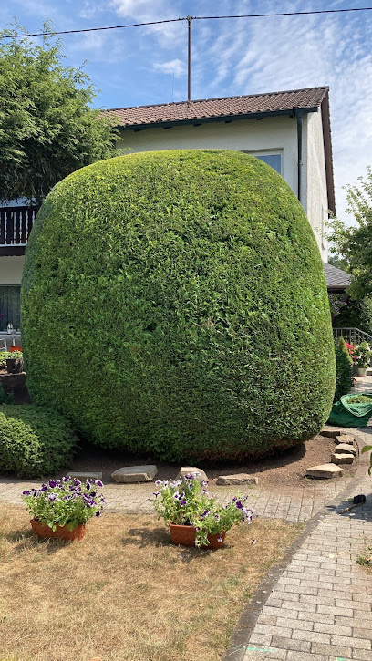 Weco Gartenpflege und Gestaltung e.Kfr.