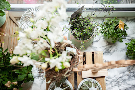Blumenladen Abracadabra Zauberfloristik