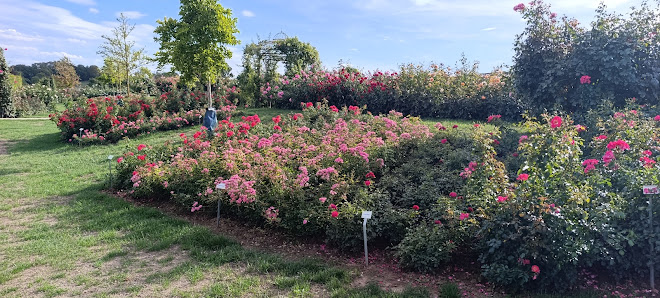 RosenPark Dräger GmbH & Co. KG