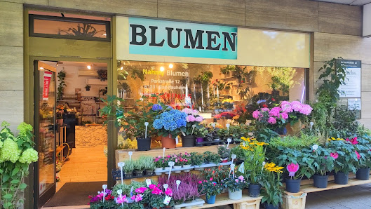 Nahmy Blumen