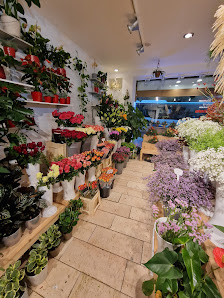 Nahmy Blumen