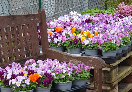 Blumen Paulsen