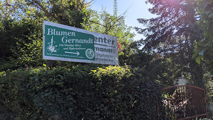 Blumen Gernandt