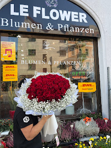 Le Flower Blumen & Pflanzen
