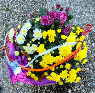 Blumen Weiler