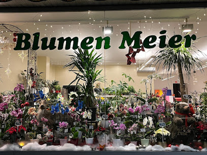 Blumen Meier