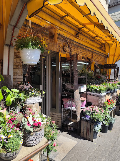 Das Blumenstübchen Heike Lang