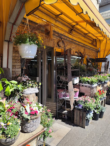Das Blumenstübchen Heike Lang