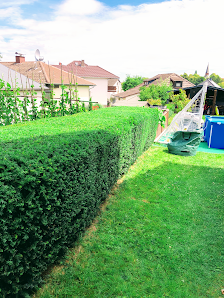 Max Kühlwein Gartenservice