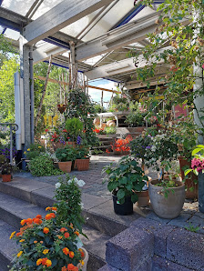 Blumen Weber