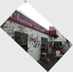 Petra Frank Blumen und Geschenke Galerie