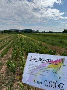 Blumen selbst schneiden