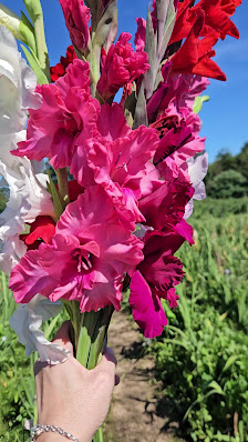 Blumen selbst schneiden