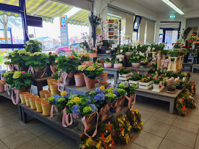 Blumen König GmbH Gründau Lieblos