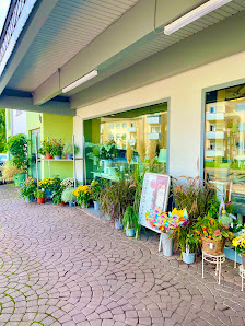 Scherfer Garten- und Landschaftsbau