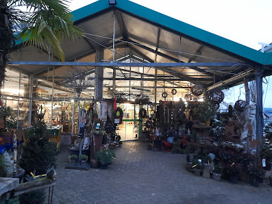 Pflanzenhof Schürg GmbH