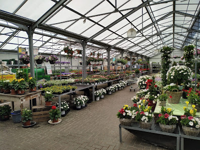 Blumen- & Gartencenter 4 Jahreszeiten GmbH
