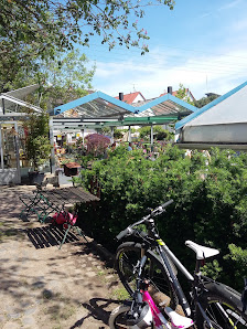 Baumschule Augenweide Obst- & Gartencenter