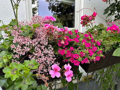 Gartenbau Bratfisch GbR
