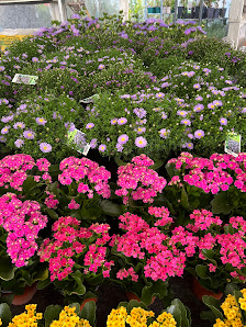 Glücksgarten Berlin