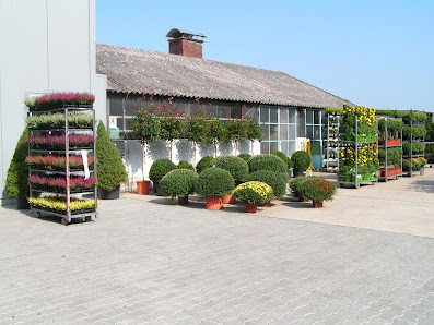Baier's Pflanzenhandel