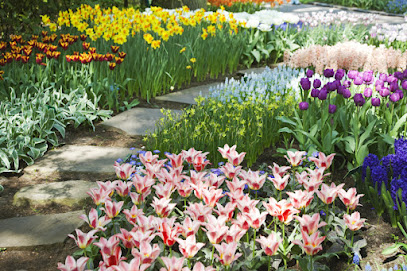 Blumen-Großhändler