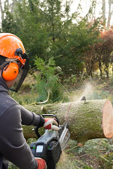 Vier Gartenzeiten GmbH