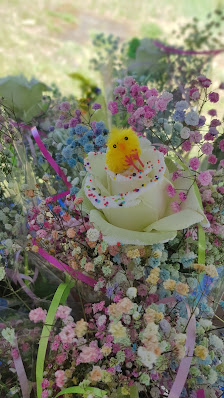 Blumen frische Blumen Obertshausen