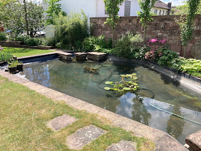 Garten und Teichpflegeservice Hering