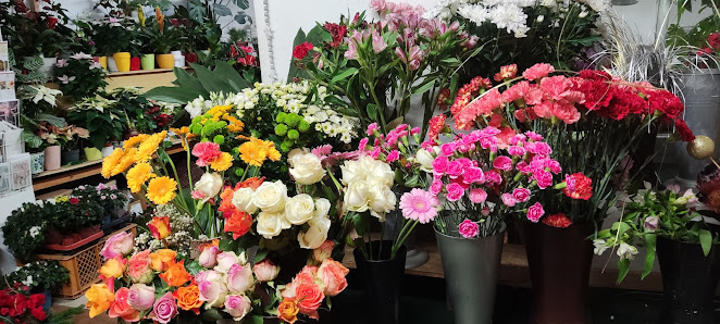 Blumen Härtl - Mühlheim am Main