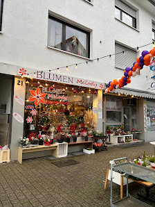 Blumen Melody