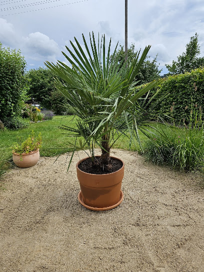 Gartencenter