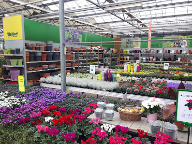 Welter Blumen und Pflanzen Groß-Umstadt, Gartencenter