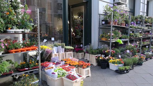 Blumen Haus