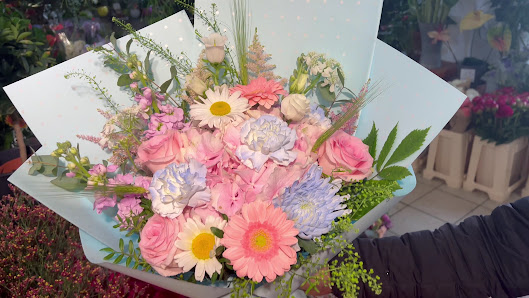 Blumen Haus
