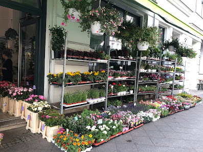 Blumen Haus