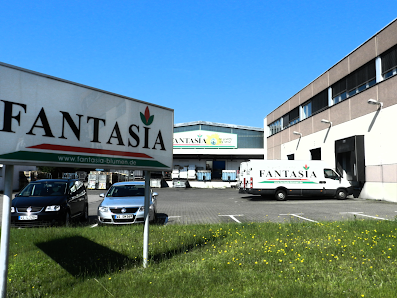Fantasia Blumen Im- und Export GmbH