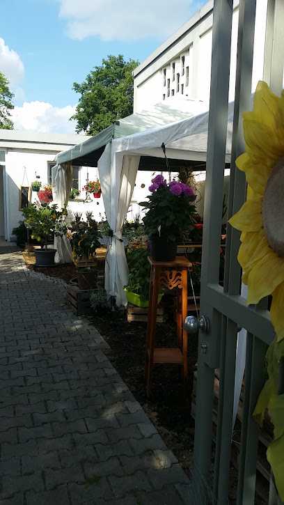 Die Sonnenblume